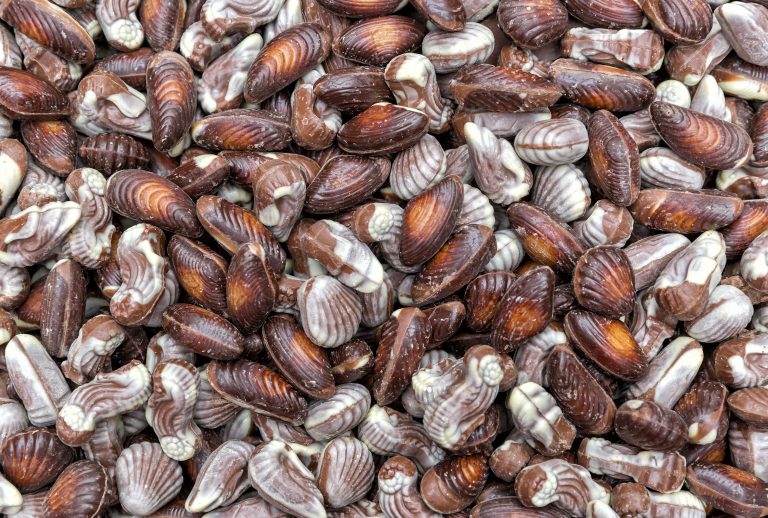 nevenproducten chocola en bonbons voor Food For Feed grondstof